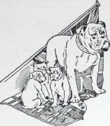 An illustration from Building and Engineering Catalog 1921 Edition, 1921, leaf 320