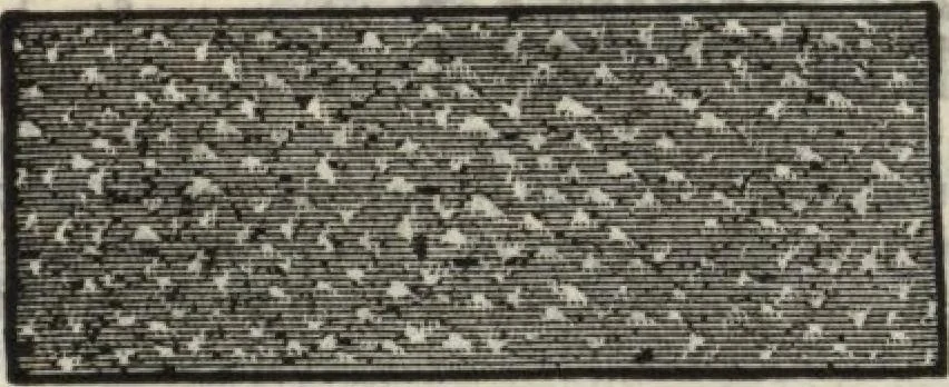 An illustration from Building material catalog no. 102, 1913, leaf 107