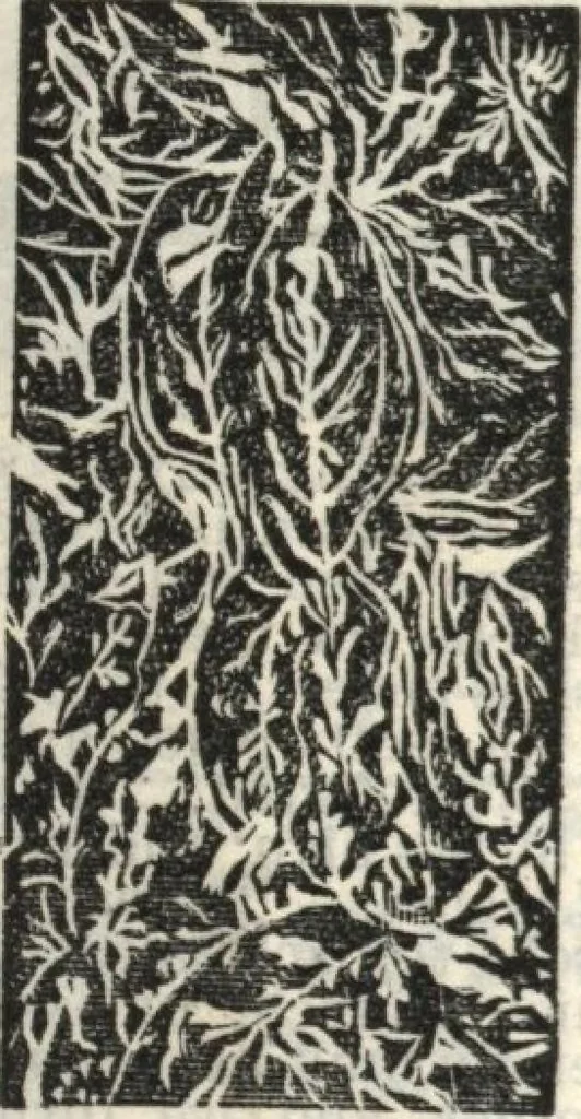 An illustration from Building material catalog no. 102, 1913, leaf 39