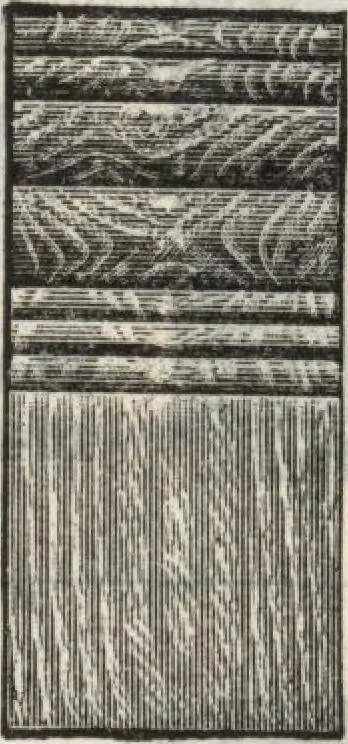 An illustration from Building material catalog no. 102, 1913, leaf 51