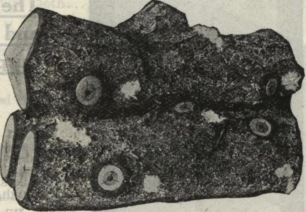 An illustration from Building material catalog no. 102, 1913, leaf 72
