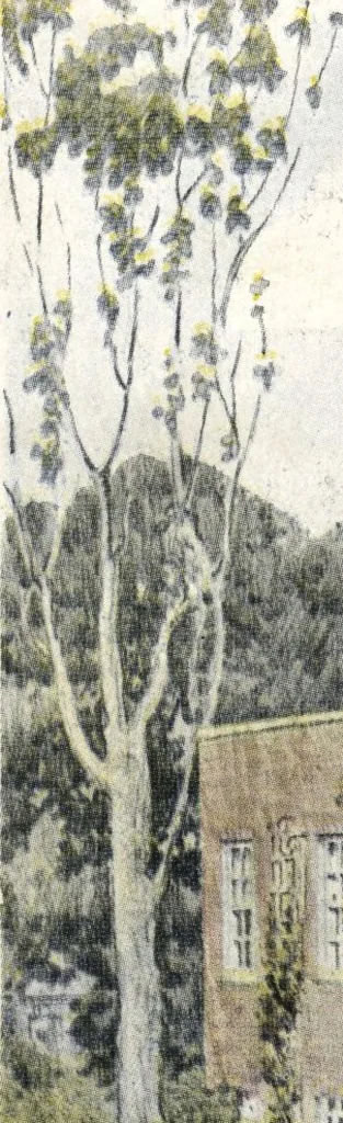 An illustration from Building with assurance, 1921, leaf 31