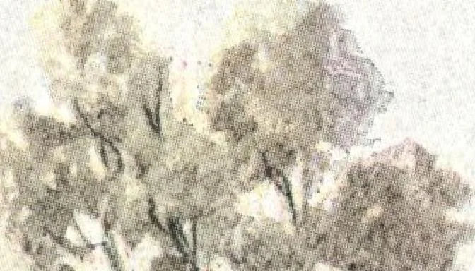 An illustration from Building with assurance, 1921, leaf 34