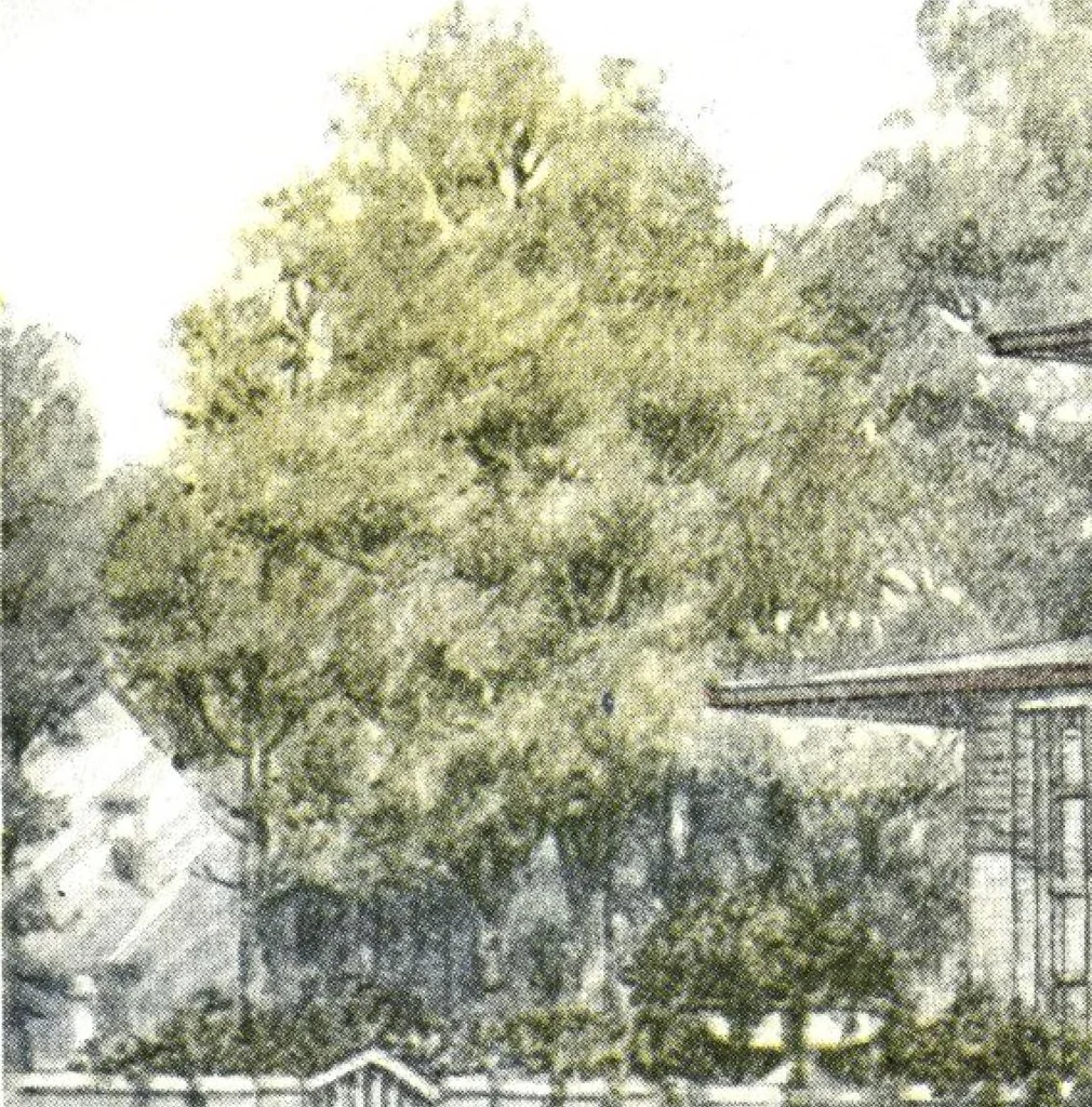 An illustration from Building with assurance, 1921, leaf 35