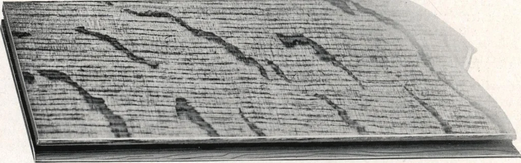 An illustration from Building with assurance, 1921, leaf 359