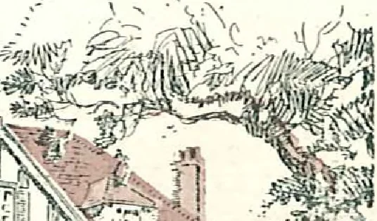 An illustration from Building with assurance, prospectus., 1922, leaf 16