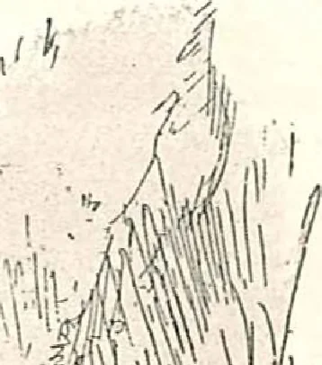 An illustration from Building with assurance, prospectus., 1922, leaf 4