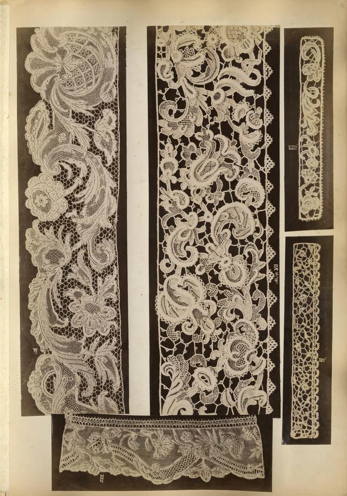 An illustration from Patterns of lace made at Burano : 100 photographs, 1884, leaf 14