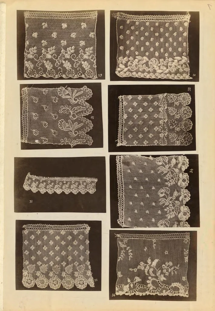 An illustration from Patterns of lace made at Burano : 100 photographs, 1884, leaf 6