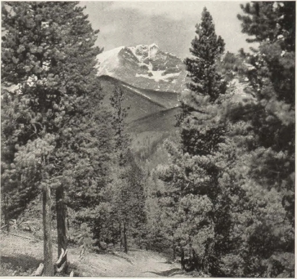 An illustration from How to See California and its Expositions in 1915, 1515, leaf 3