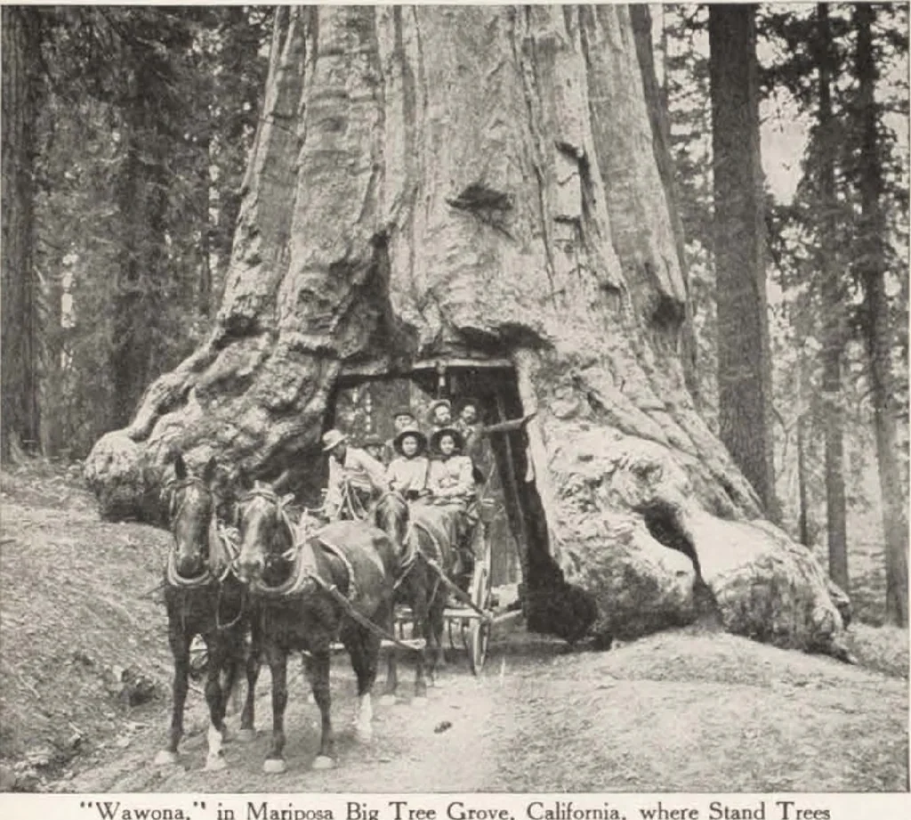 An illustration from How to See California and its Expositions in 1915, 1515, leaf 7