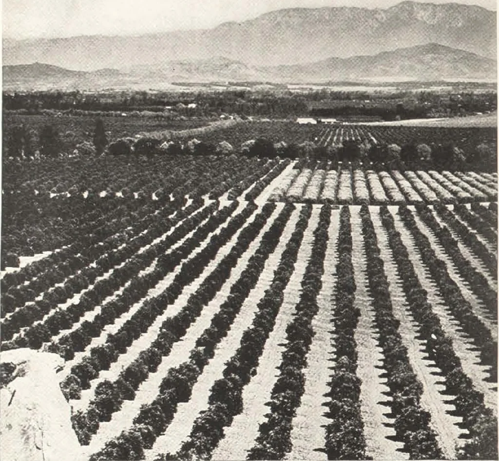 An illustration from How to See California and its Expositions in 1915, 1515, leaf 9