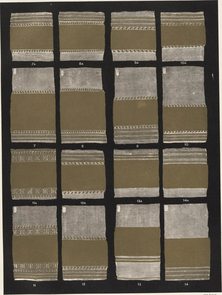An illustration from Illustrations of the textile manufactures of India, 1881, leaf 10