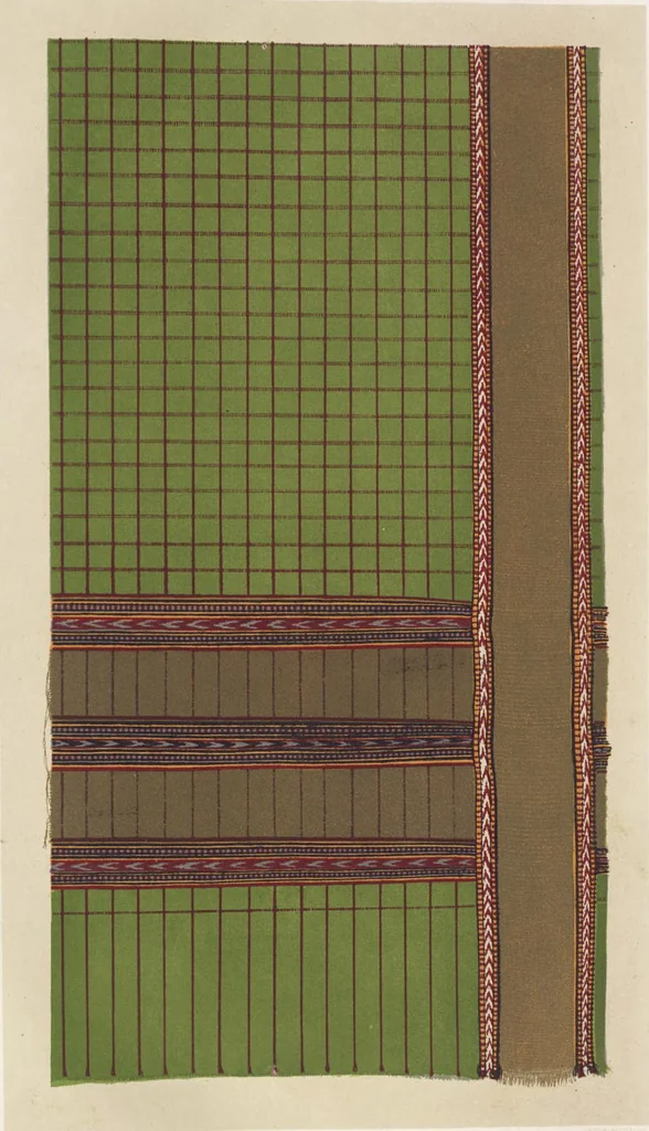 An illustration from Illustrations of the textile manufactures of India, 1881, leaf 100