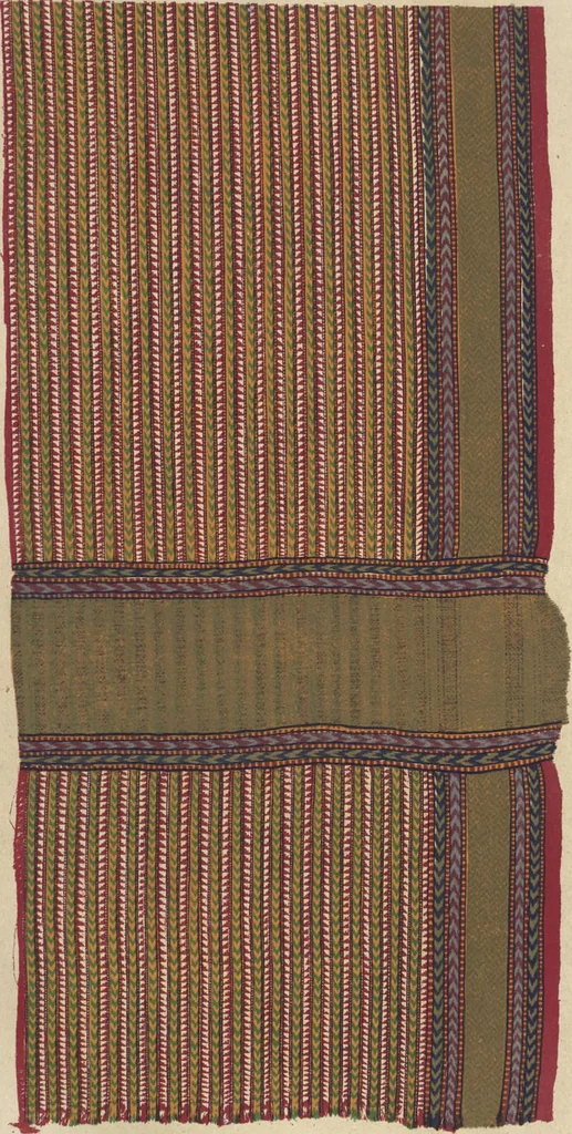 An illustration from Illustrations of the textile manufactures of India, 1881, leaf 110