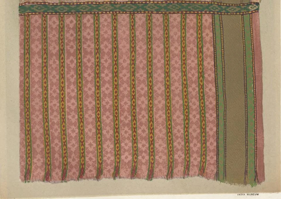 An illustration from Illustrations of the textile manufactures of India, 1881, leaf 112
