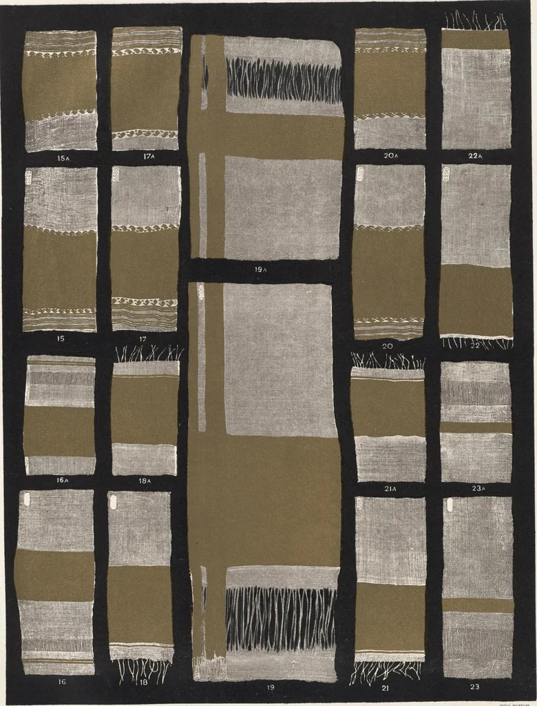An illustration from Illustrations of the textile manufactures of India, 1881, leaf 12