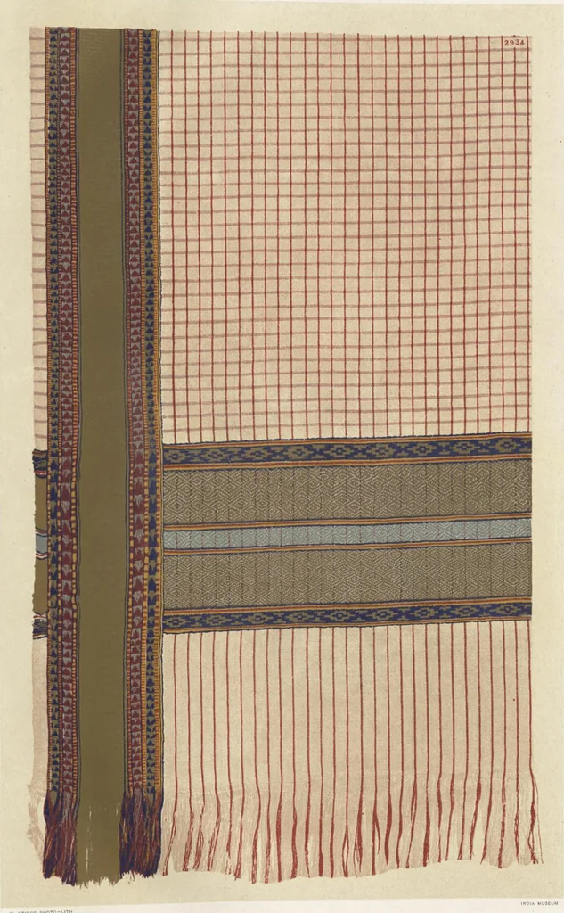 An illustration from Illustrations of the textile manufactures of India, 1881, leaf 124