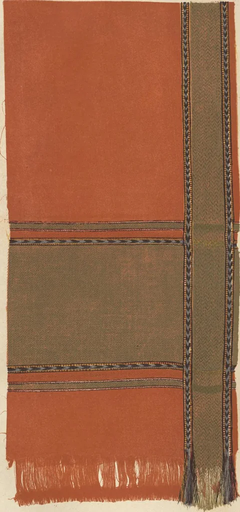 An illustration from Illustrations of the textile manufactures of India, 1881, leaf 128