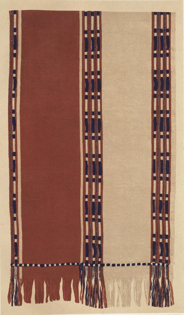 An illustration from Illustrations of the textile manufactures of India, 1881, leaf 136