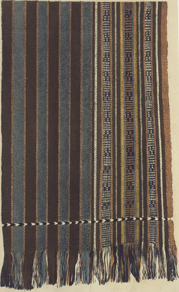 An illustration from Illustrations of the textile manufactures of India, 1881, leaf 140