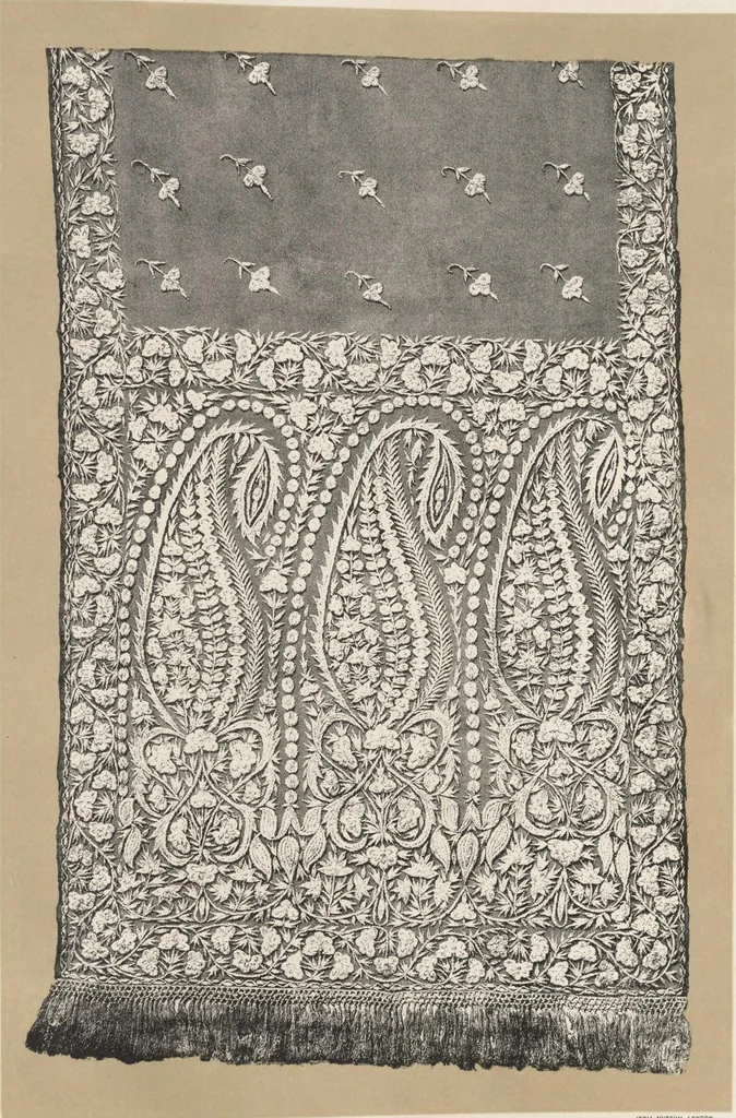 An illustration from Illustrations of the textile manufactures of India, 1881, leaf 148