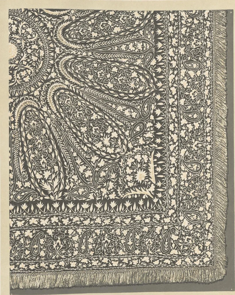 An illustration from Illustrations of the textile manufactures of India, 1881, leaf 150