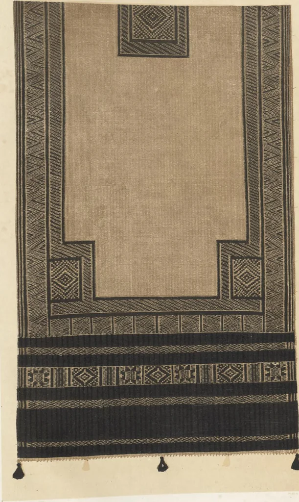 An illustration from Illustrations of the textile manufactures of India, 1881, leaf 156