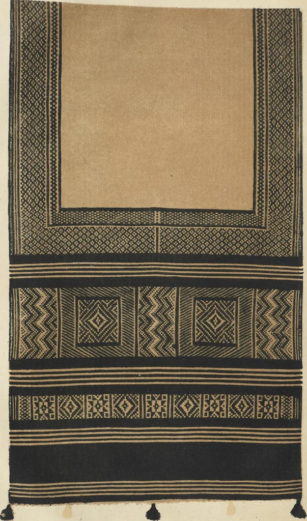 An illustration from Illustrations of the textile manufactures of India, 1881, leaf 158