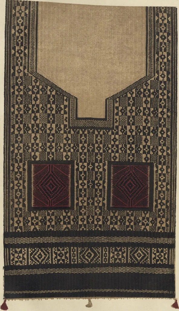 An illustration from Illustrations of the textile manufactures of India, 1881, leaf 164