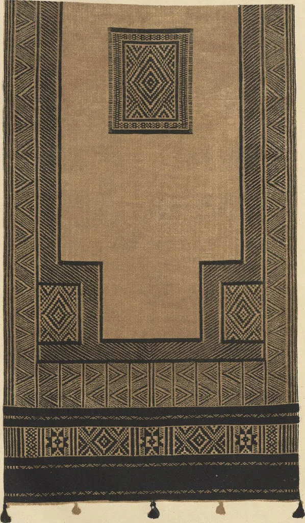 An illustration from Illustrations of the textile manufactures of India, 1881, leaf 172