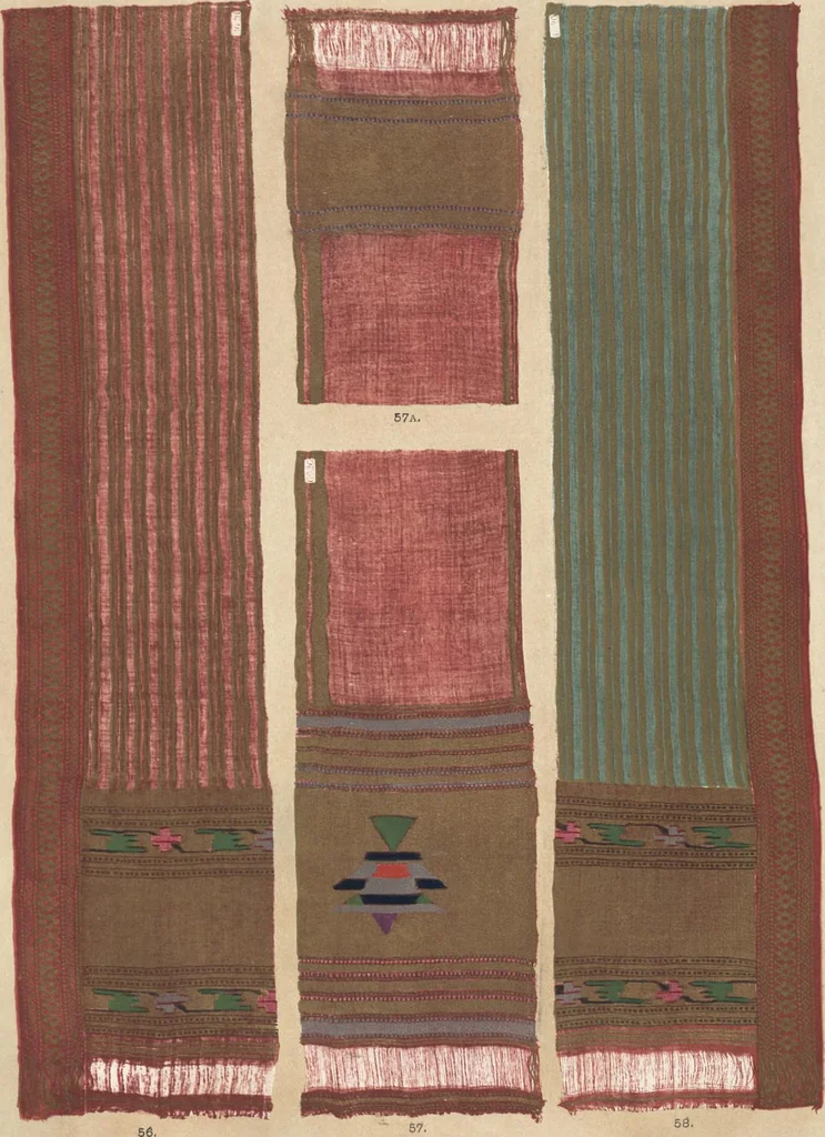 An illustration from Illustrations of the textile manufactures of India, 1881, leaf 24