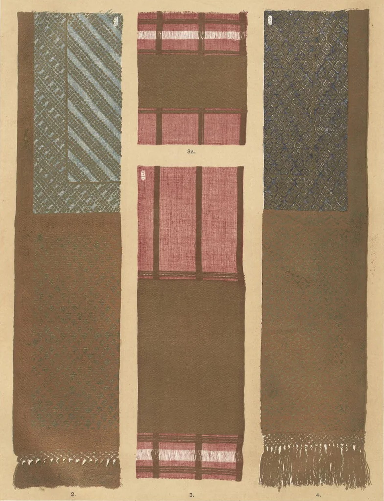 An illustration from Illustrations of the textile manufactures of India, 1881, leaf 6