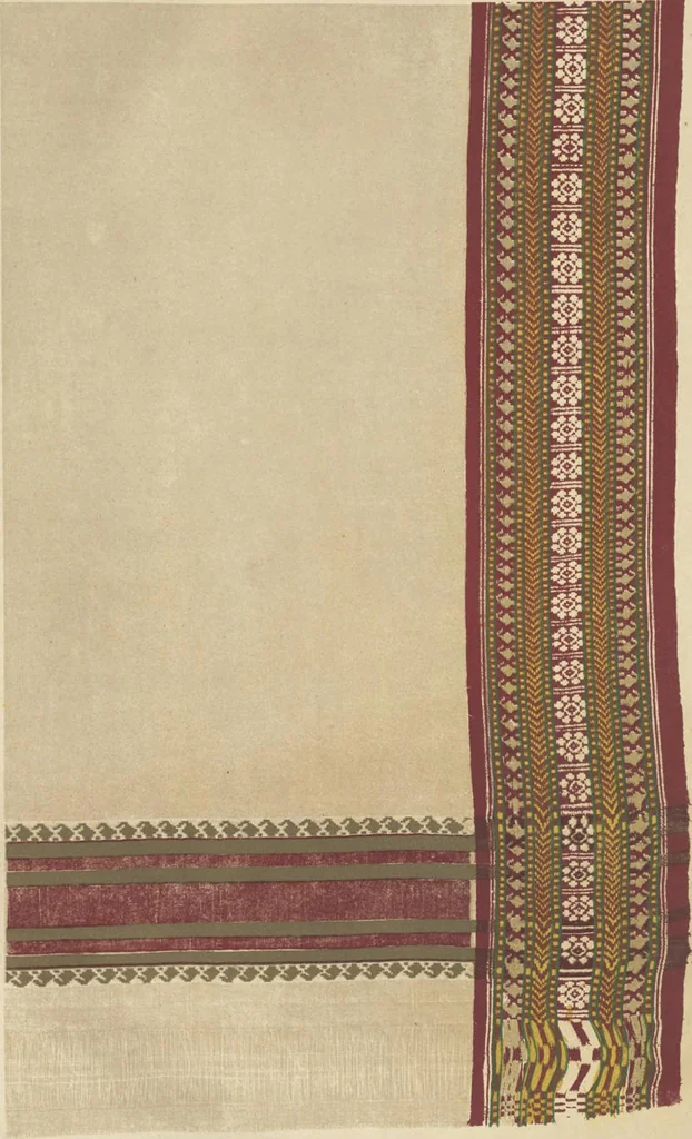 An illustration from Illustrations of the textile manufactures of India, 1881, leaf 66