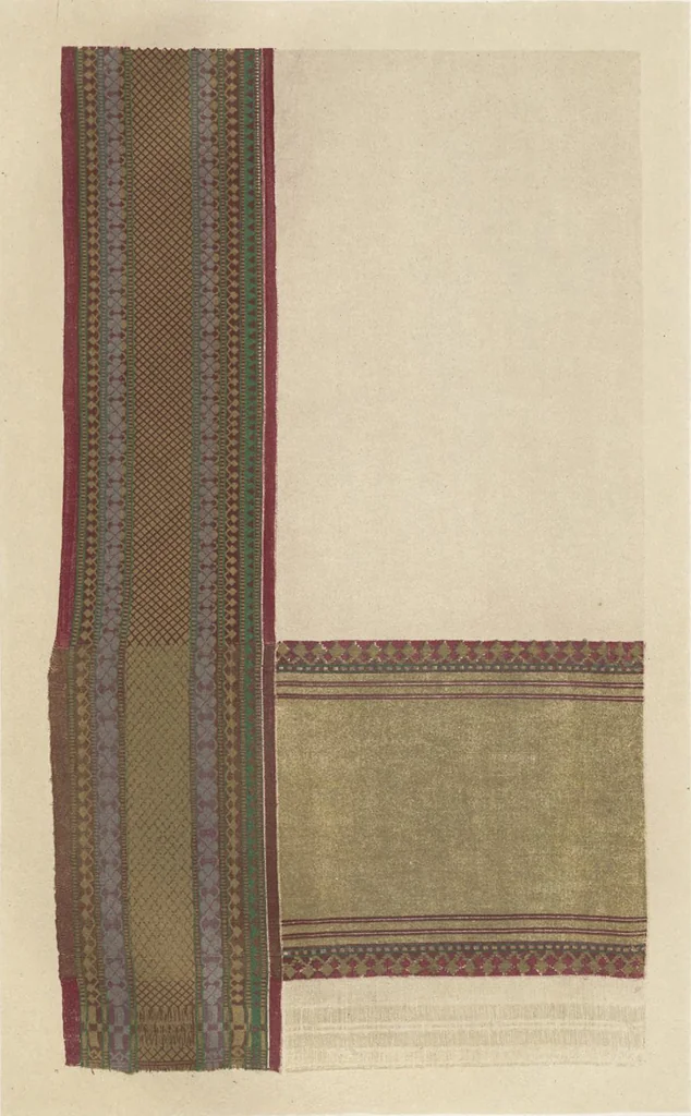 An illustration from Illustrations of the textile manufactures of India, 1881, leaf 76