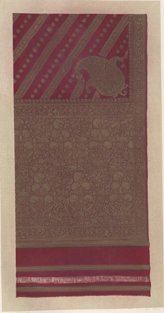 An illustration from Illustrations of the textile manufactures of India, 1881, leaf 86