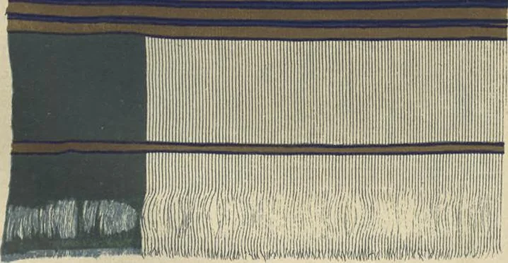 An illustration from Illustrations of the textile manufactures of India, 1881, leaf 94
