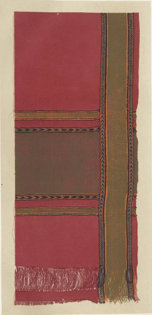 An illustration from Illustrations of the textile manufactures of India, 1881, leaf 96