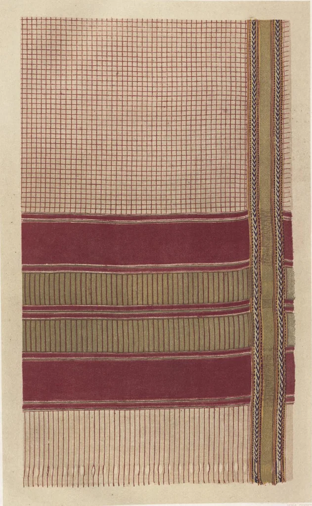 An illustration from Illustrations of the textile manufactures of India, 1881, leaf 98