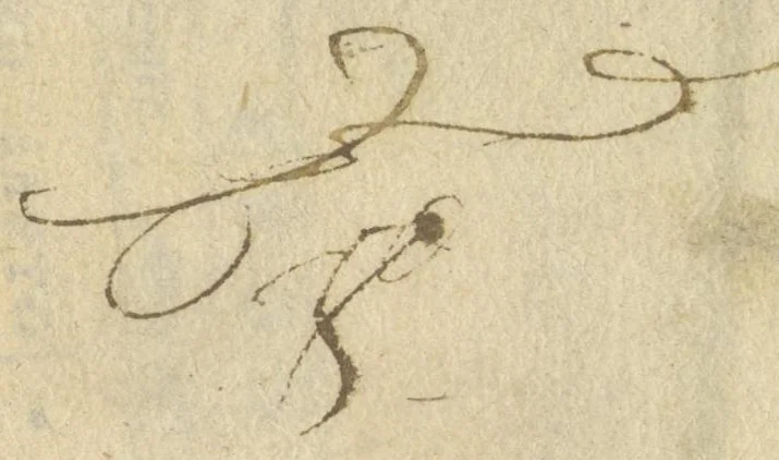 An illustration from Dialoghi del signor dottor Antonio Valsinieri ... sopra la curiosa origine di molti insetti .., 1700, leaf 276