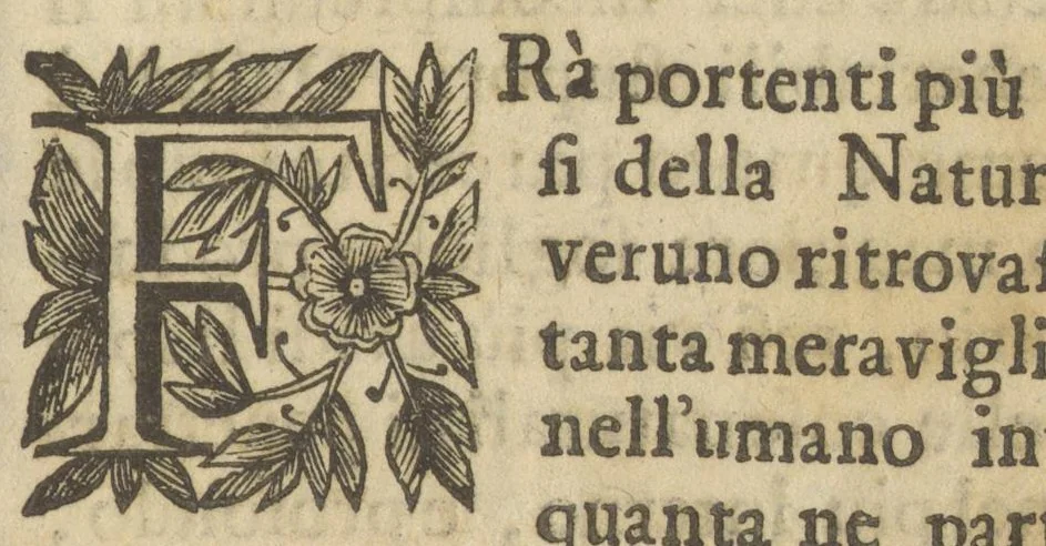 An illustration from Dialoghi del signor dottor Antonio Valsinieri ... sopra la curiosa origine di molti insetti .., 1700, leaf 6