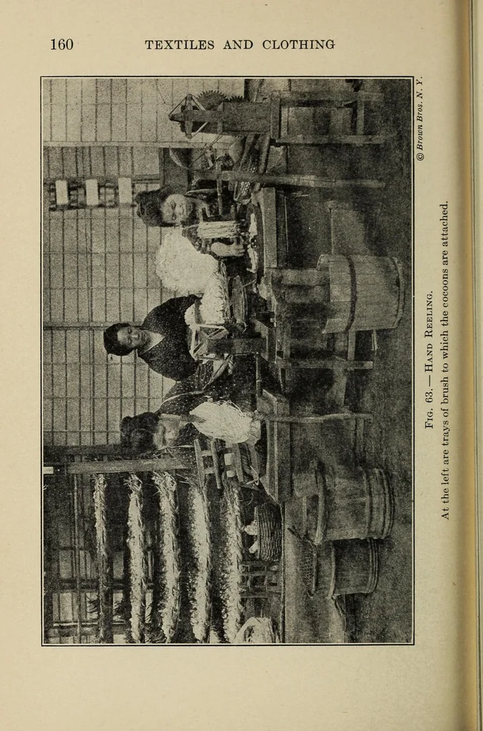An illustration from Textiles and clothing, 1919, leaf 178