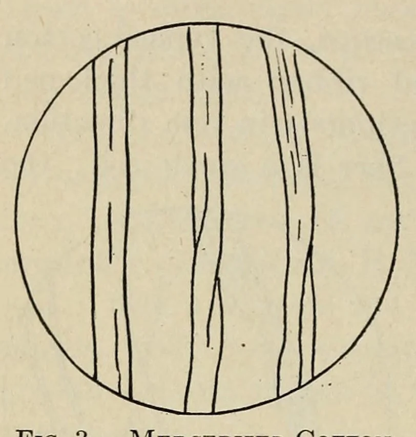 An illustration from Textiles and clothing, 1919, leaf 26