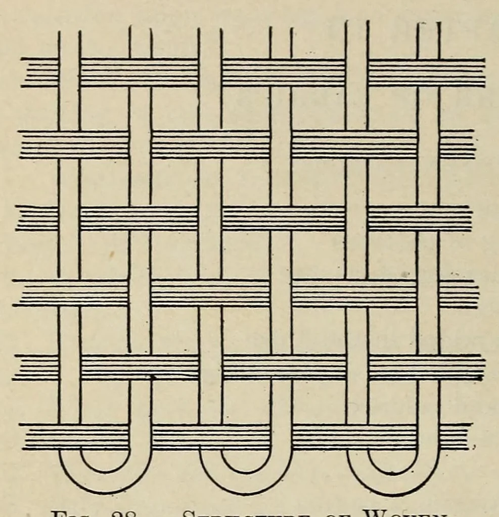 An illustration from Textiles and clothing, 1919, leaf 64