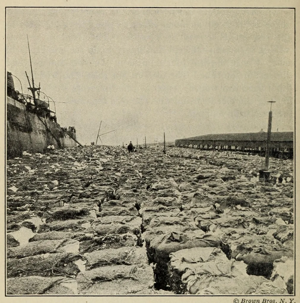 An illustration from Textiles and clothing, 1919, leaf 88