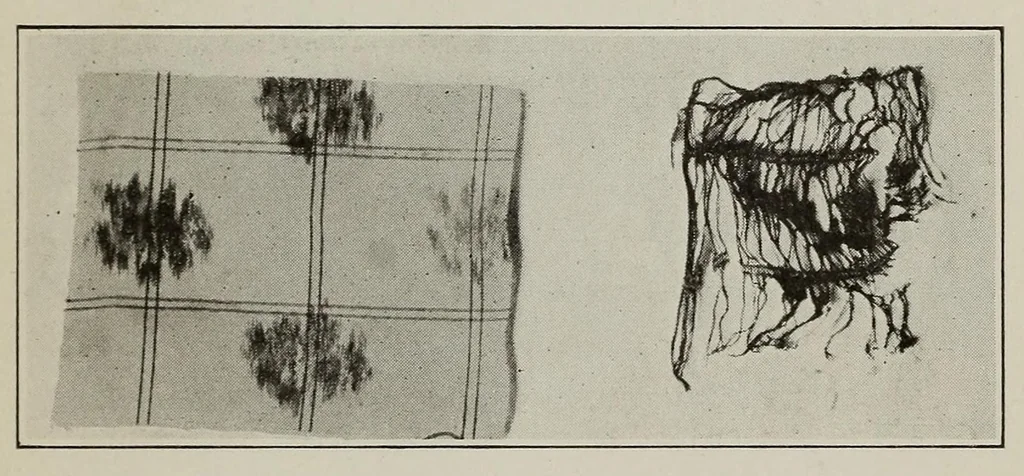 An illustration from Sewing and textiles; a textbook for grades and rural schools, prepared in the Extension division of the University of Wisconsin, 1918, leaf 169