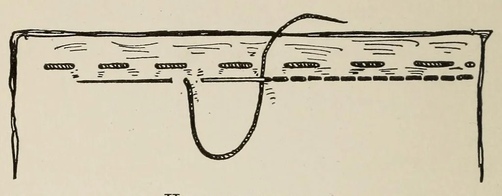 An illustration from Sewing and textiles; a textbook for grades and rural schools, prepared in the Extension division of the University of Wisconsin, 1918, leaf 22