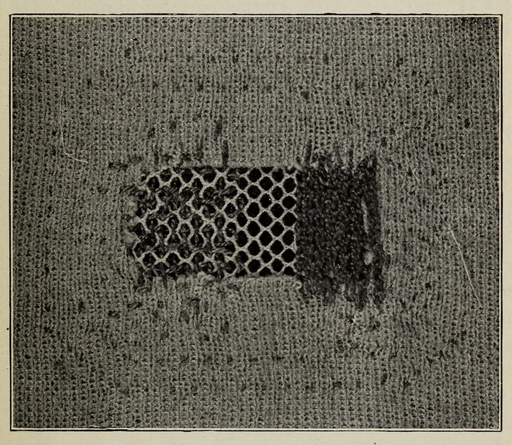 An illustration from Textiles and clothing, by Kate Heintz Watson, 1914, leaf 171