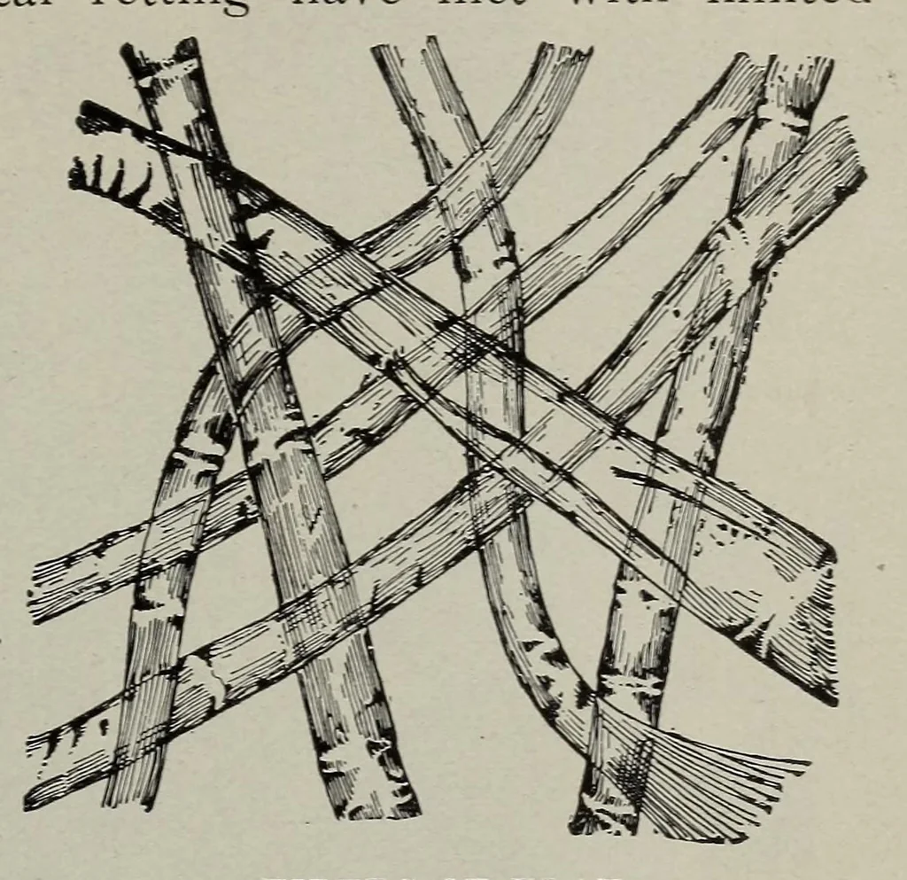 An illustration from Textiles and clothing, by Kate Heintz Watson, 1914, leaf 57