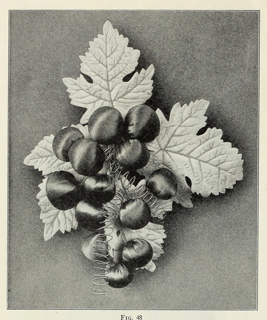 An illustration from Ribbon and fabric trimmings : a variety of appropriate dress trimmings that can be made from ribbon and fabric, with directions for their making, 1925, leaf 22